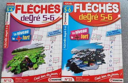 2 cahiers mots fléchés