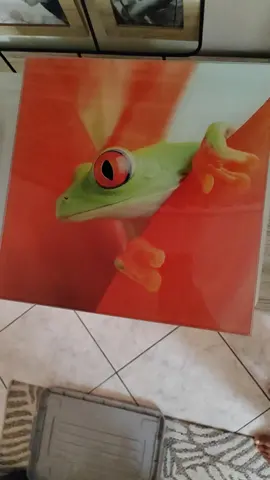 Cadre déco grenouille