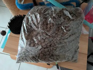 Croquettes pour chat