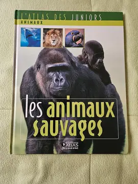 livre enfants