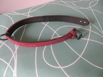 collier chien 59 cm de long