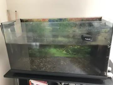 bac aquarium