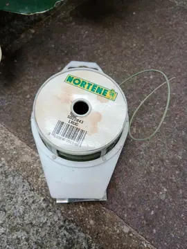 Lien spécial plantes