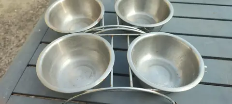 gamelles pour chats