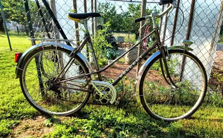 Vélo Peugeot adulte
