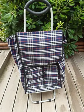Caddie roulant pour le marché
