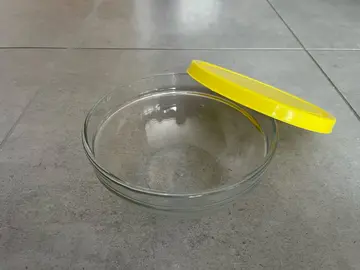 Bol en verre avec couvercle