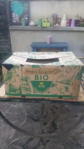 cartons solides pour déménagement