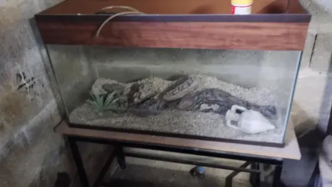 Aquarium / aquaterrarium