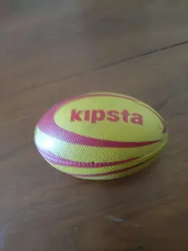 petit ballon de rugby