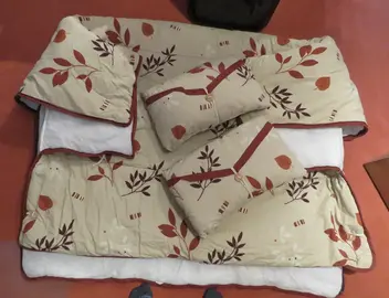 Housse pour BZ avec 2 coussins assortis