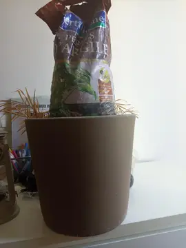 pot pour plante plus perles d'argile