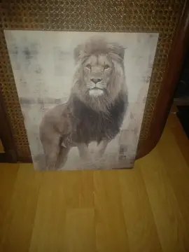 cadre lion