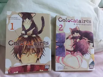Lot de mangas