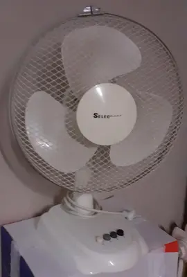 ventilateur 30 cm