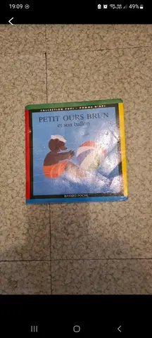 petit ours brun