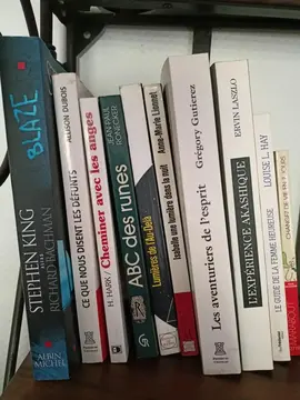 Lot de livres