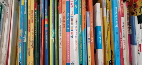 manuels scolaires et livres sur l'éducation