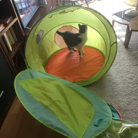 tente enfant avec tunnel et cheminée