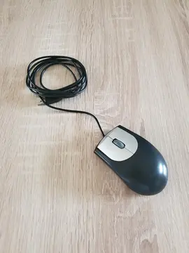 souris filaire