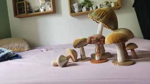 lot de champignons décoratifs effet fantastique