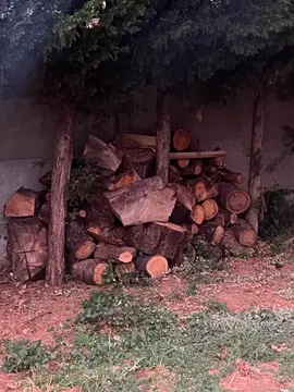 bois pour cheminée