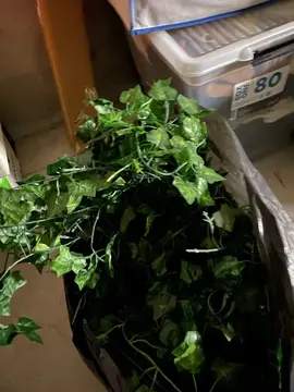 plantes artificiels