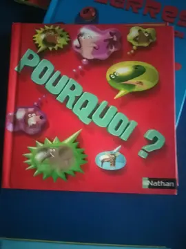 pourquoi ?