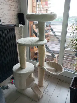 Arbre à chat