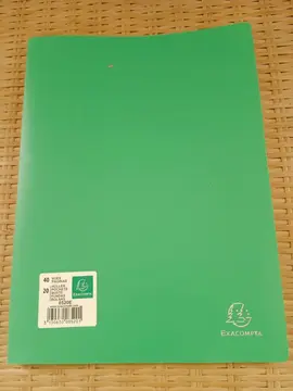 Lutin Exacompta VERT 40 vues/20 pochettes