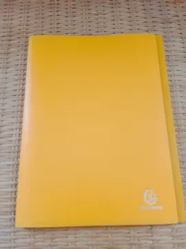 Lutin Exacompta JAUNE 60 vues/30 pochettes