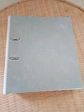 Gros classeur GRIS et pochettes