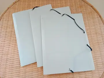 Lot de 3 dossiers plastique