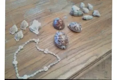 Coquillages De Nouméa et Corse📍UN DE CHAQUES MODÈLE
