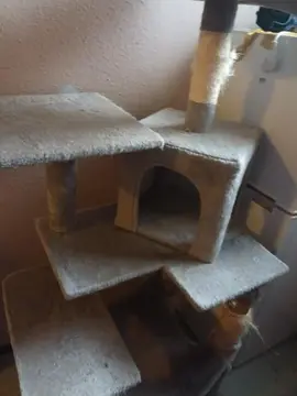 arbe à chat
