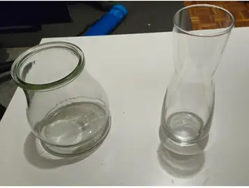 Vases fleur