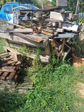 divers chutes de bois pour cheminee