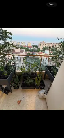 pots gris en plastique (vide)