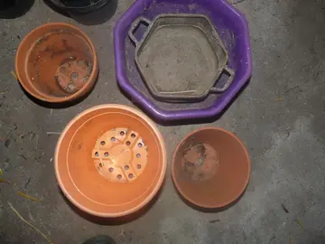 pots de fleurs à donner