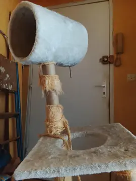 arbre à 😺