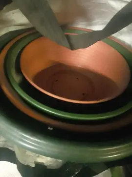 lots pot de plante