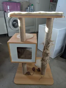 Arbre à chat
