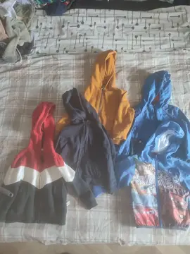 Lot vestes enfant 3 ans