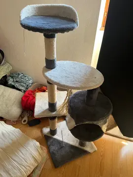 Arbre à chat