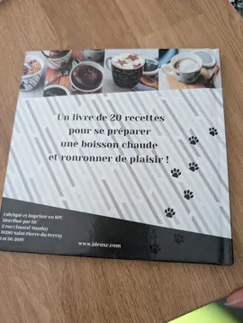 livre recette mug