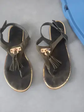 ton kaki T 37
