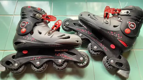 paire de rolliers
