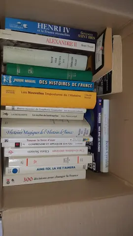 Lot de livres surtout autour de l'Histoire