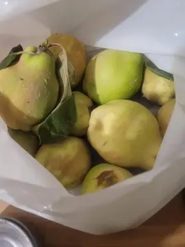 fruits