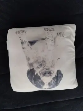 Petit coussin